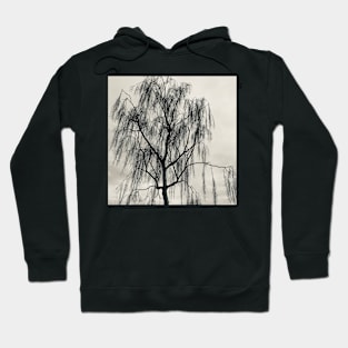 Tree silhouette Hoodie